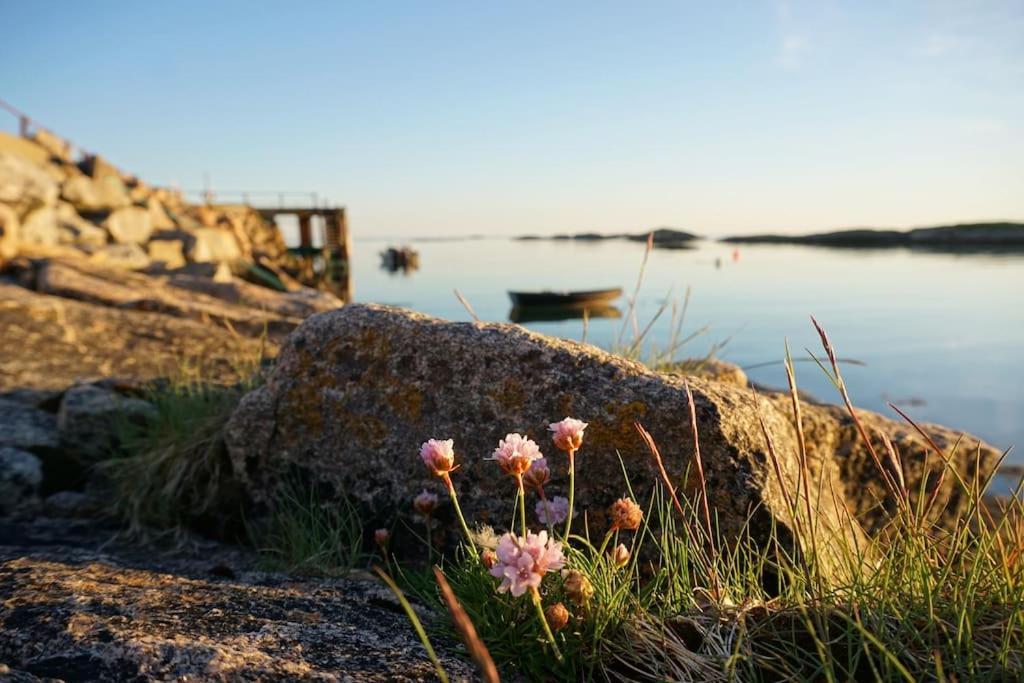 Sjarmerende Hus Med Orkesterplass Til Hav Og Fjell Stave Zewnętrze zdjęcie